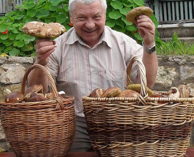 Russian mushrooms